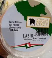 Ricotta di bufala