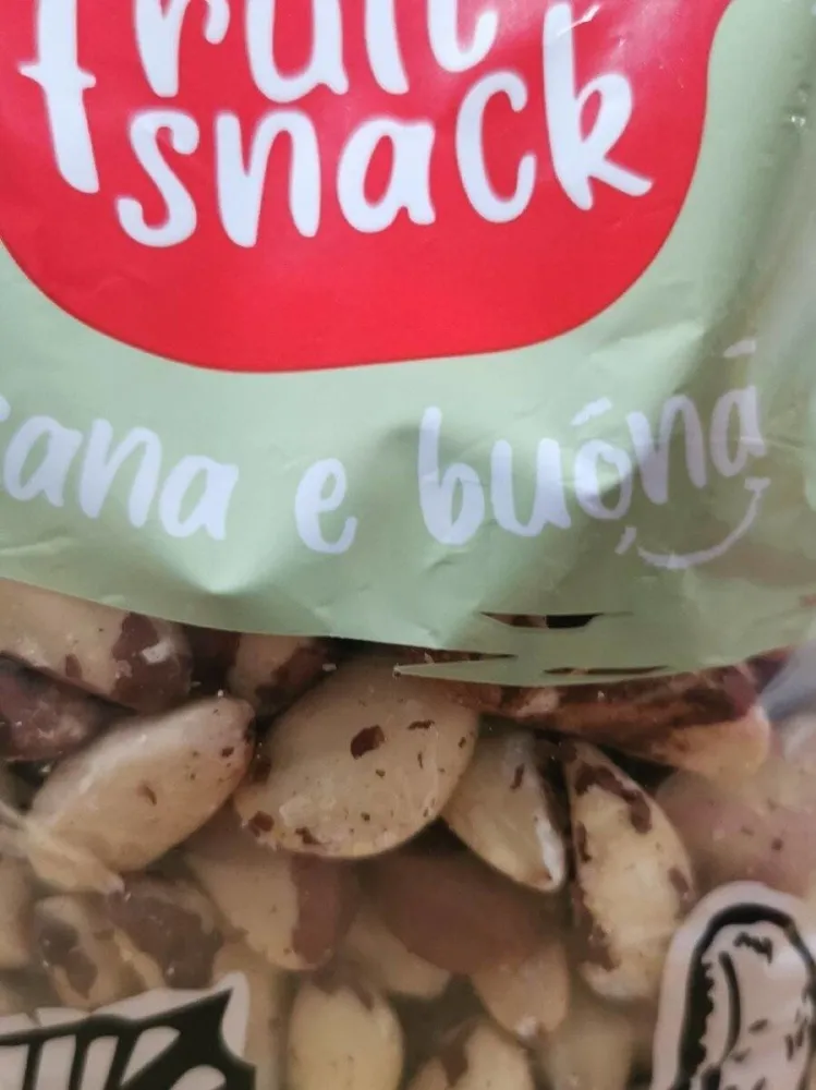Noci Brasile Amazzonia