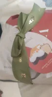 Colomba artigianale