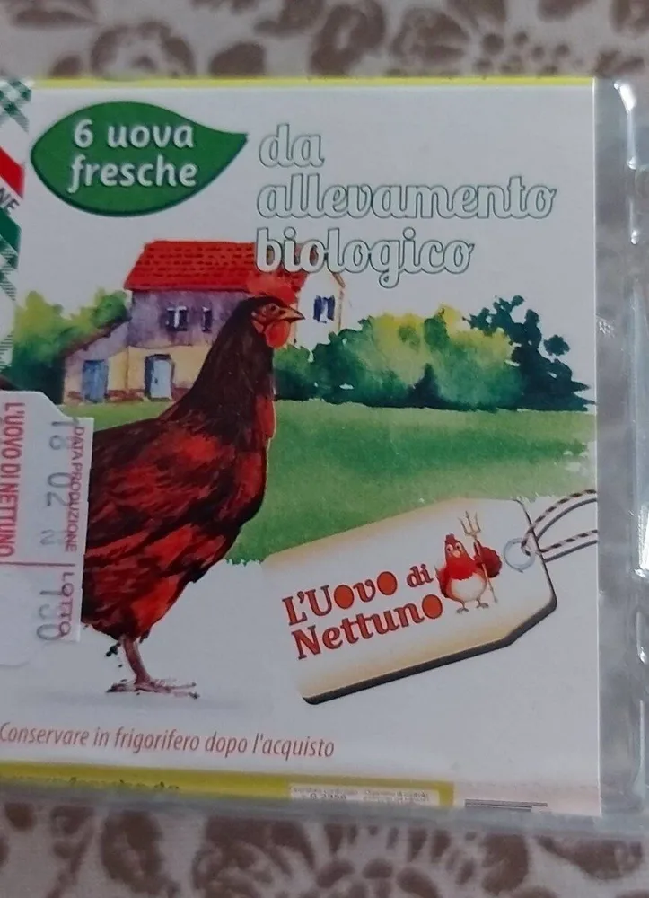 Uova