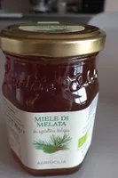 Miele di melata