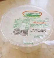 Ricotta