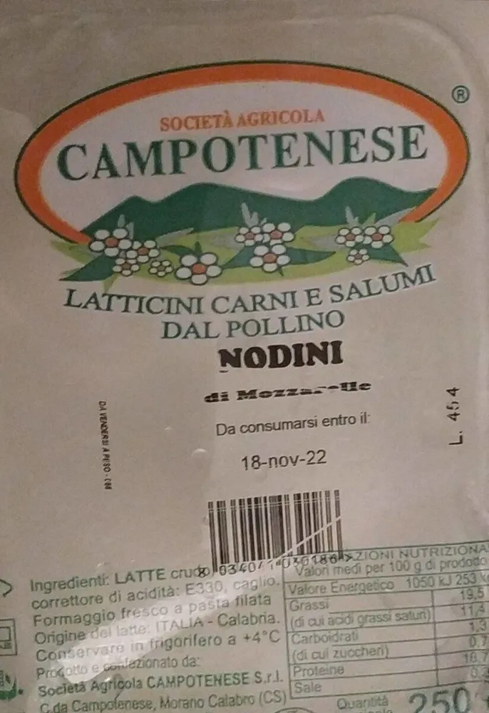 Nodini