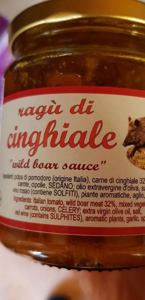 Ragú di Cinghiale