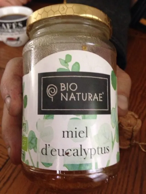 Miel D'eucalyptus