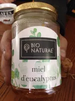 Miel D'eucalyptus