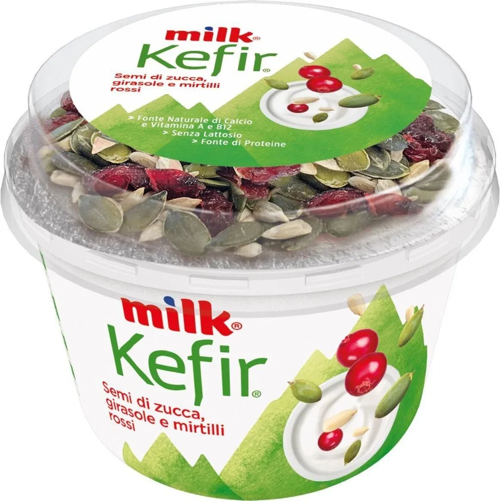 Kefir semi di zuccha, girasole e mirtilli rossi