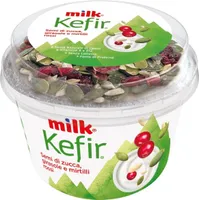 Kefir semi di zuccha, girasole e mirtilli rossi