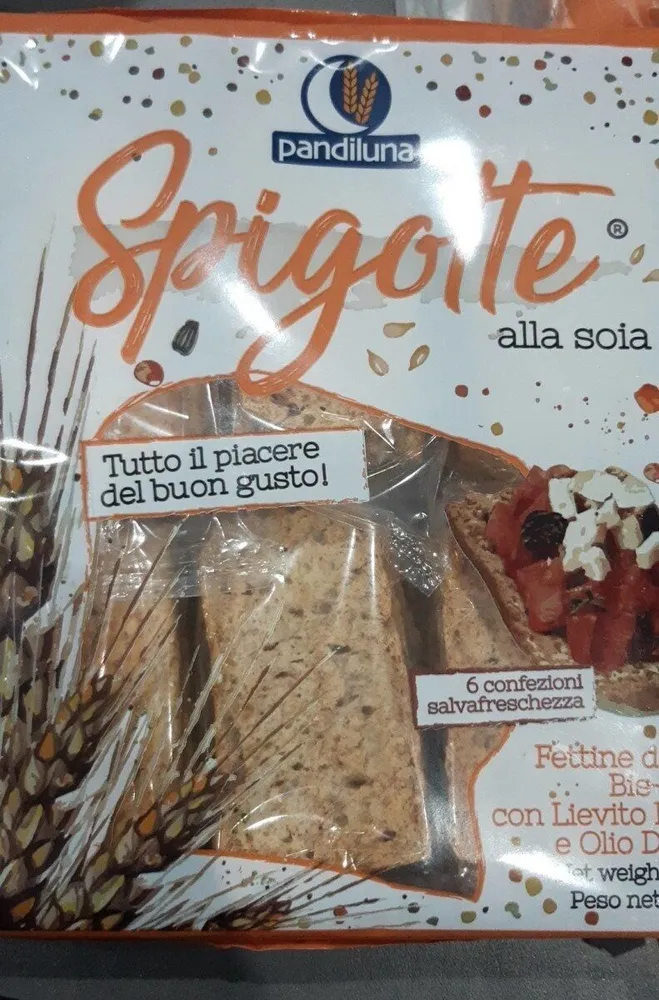 Spigotte