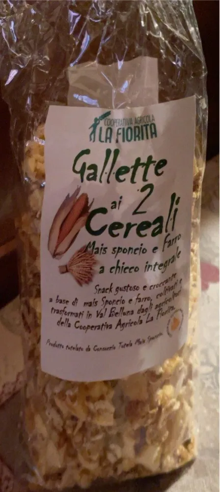 Gallette ai due cereali