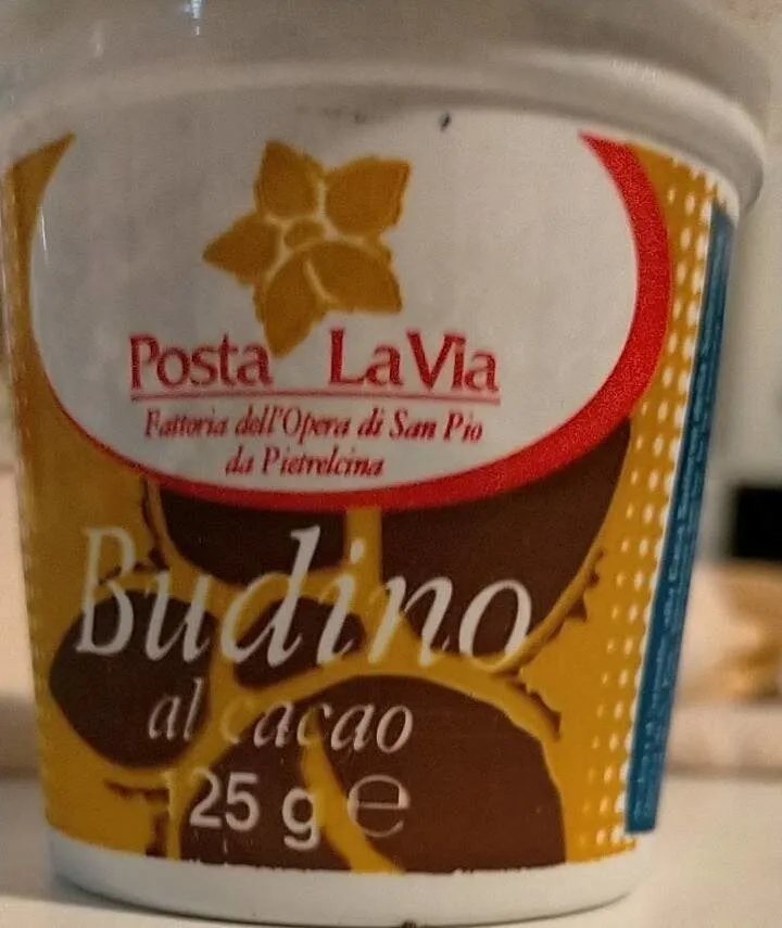 Budino al cacao