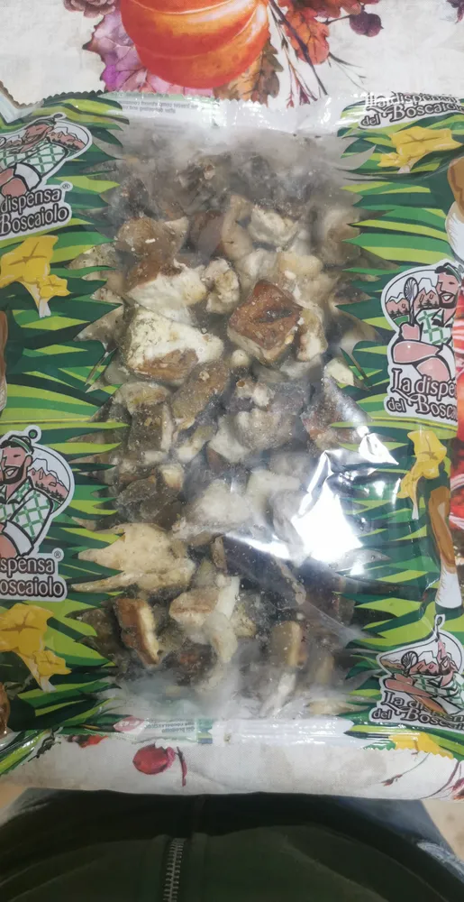 Funghi porcini