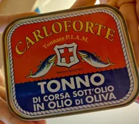 Tonno di corsa sottolio Carloforte
