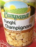 Funghi chalpignons
