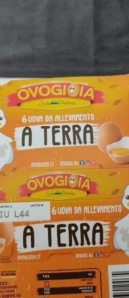Ovogioia
