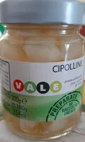 Cipolline