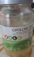 Cipolline