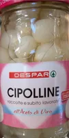 Cipolline