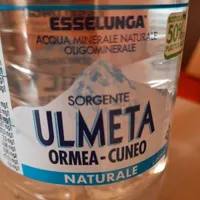 Ulmeta