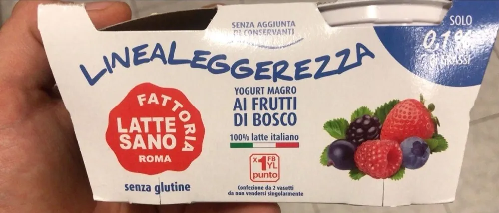 Yogurt magro ai frutti di bosco