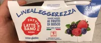 Yogurt magro ai frutti di bosco