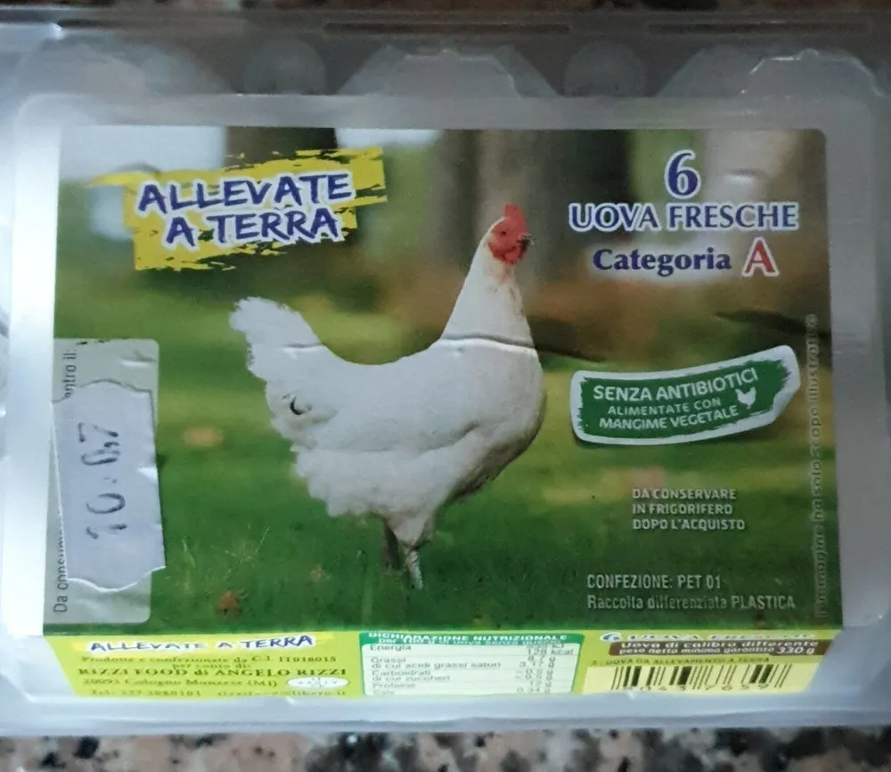 Allevate a terra 6 uova buanche