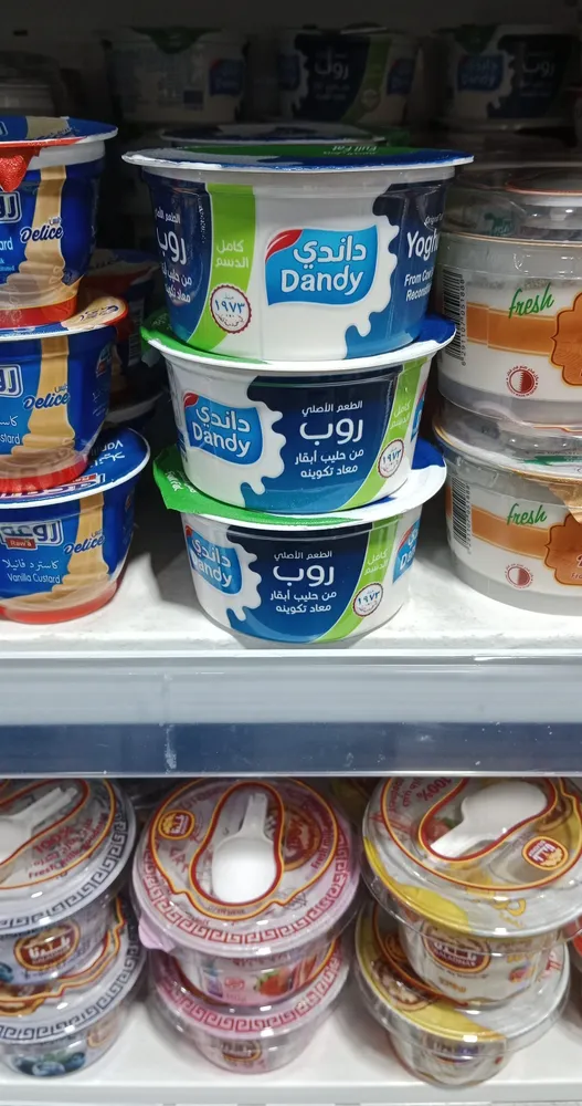 Dandy Yoghurt small