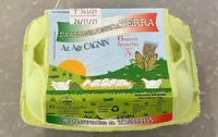 Uova da allevamento a terra