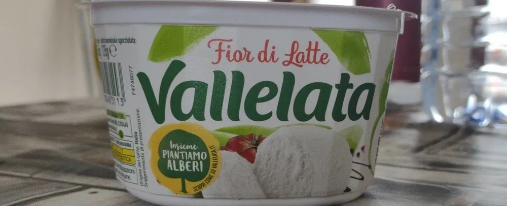 Mozzarella fior di latte