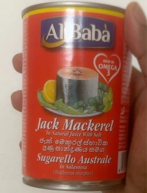 Jack Mackerel