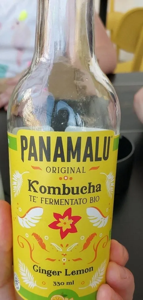 Kombucha té fermentato Bio