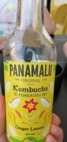 Kombucha té fermentato Bio