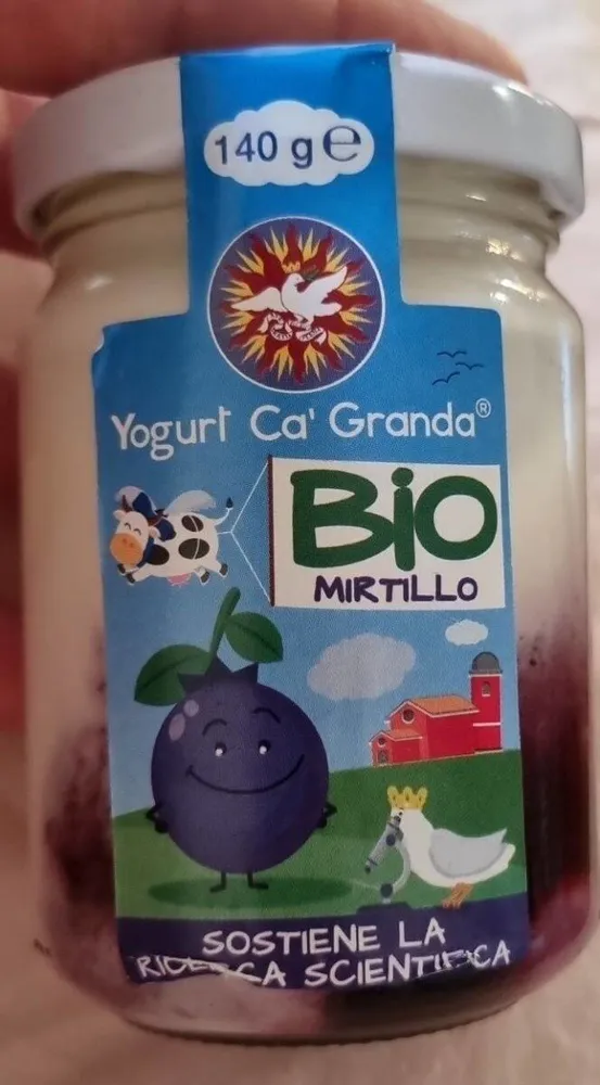 Yogurt Bio Mirtilo