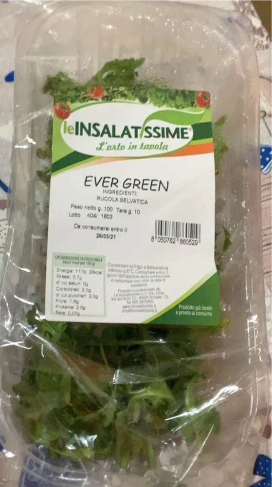 Rucola