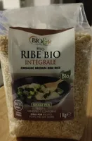 Ribe bio