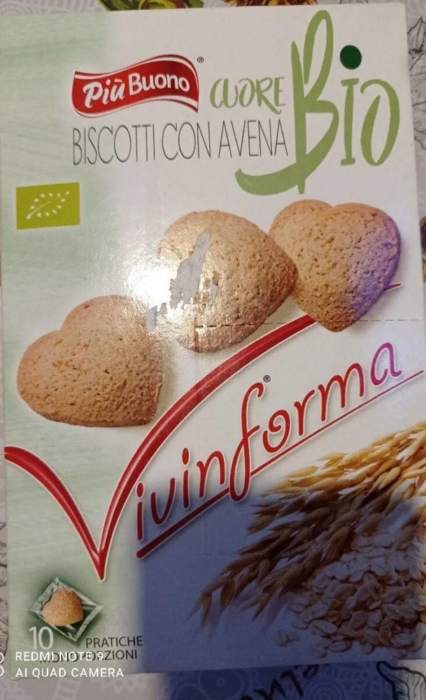 Biscotti con avena