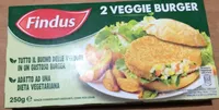 2 veggie burger