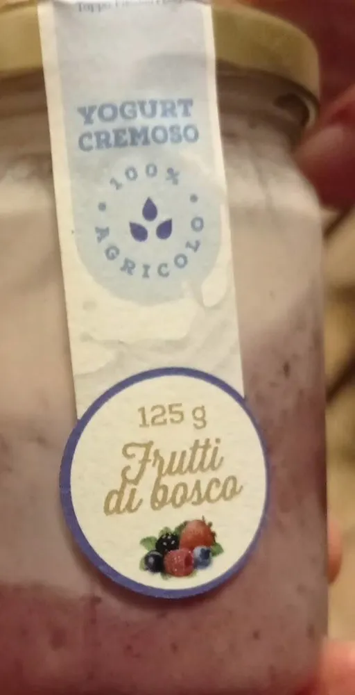 Yogurt cremoso fritti di bosco