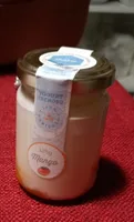 Yogurt cremoso al mango