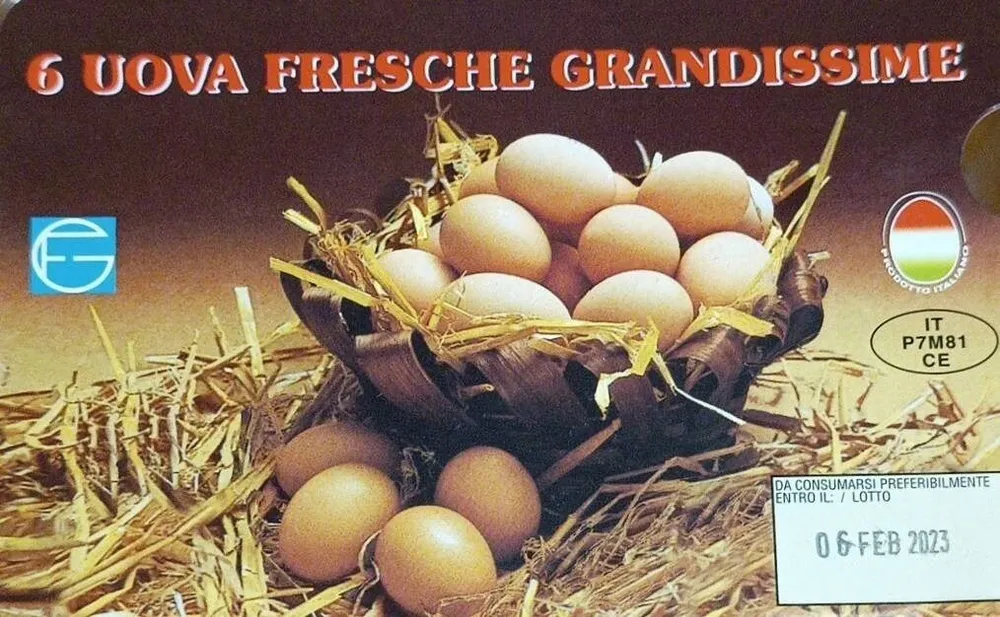 6 Uova fresche grandissime