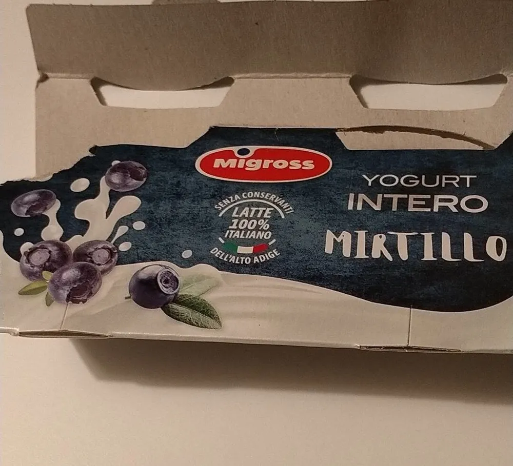 Yogurt intero mirtillo