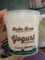 dalla brea yougurt cremoso