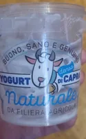 Yogurt di capra