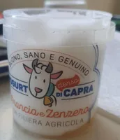 Yogurt di capra arancia zenzero Il colmetto