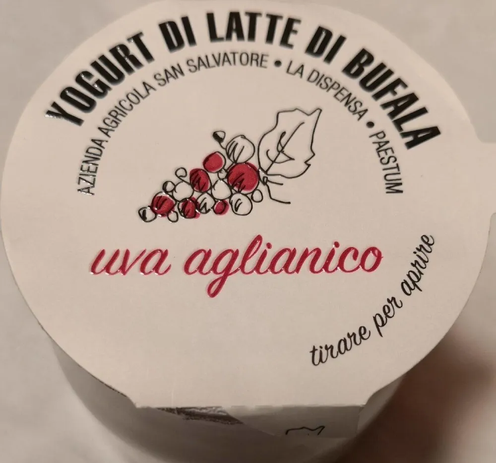 Yogurt di latte di bufala