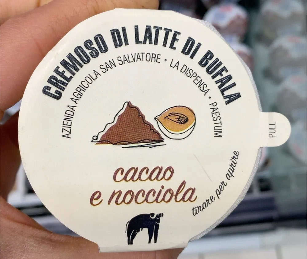 Cremoso di latte di bufala
