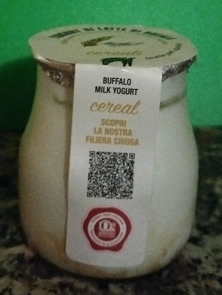 Yogurt di latte di bufala