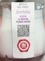 Yogurt di latte di bufala frutti di bosco
