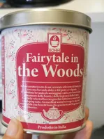 Fairytale in the woods
