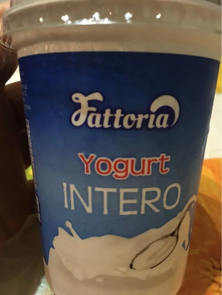 Yoghourt entier